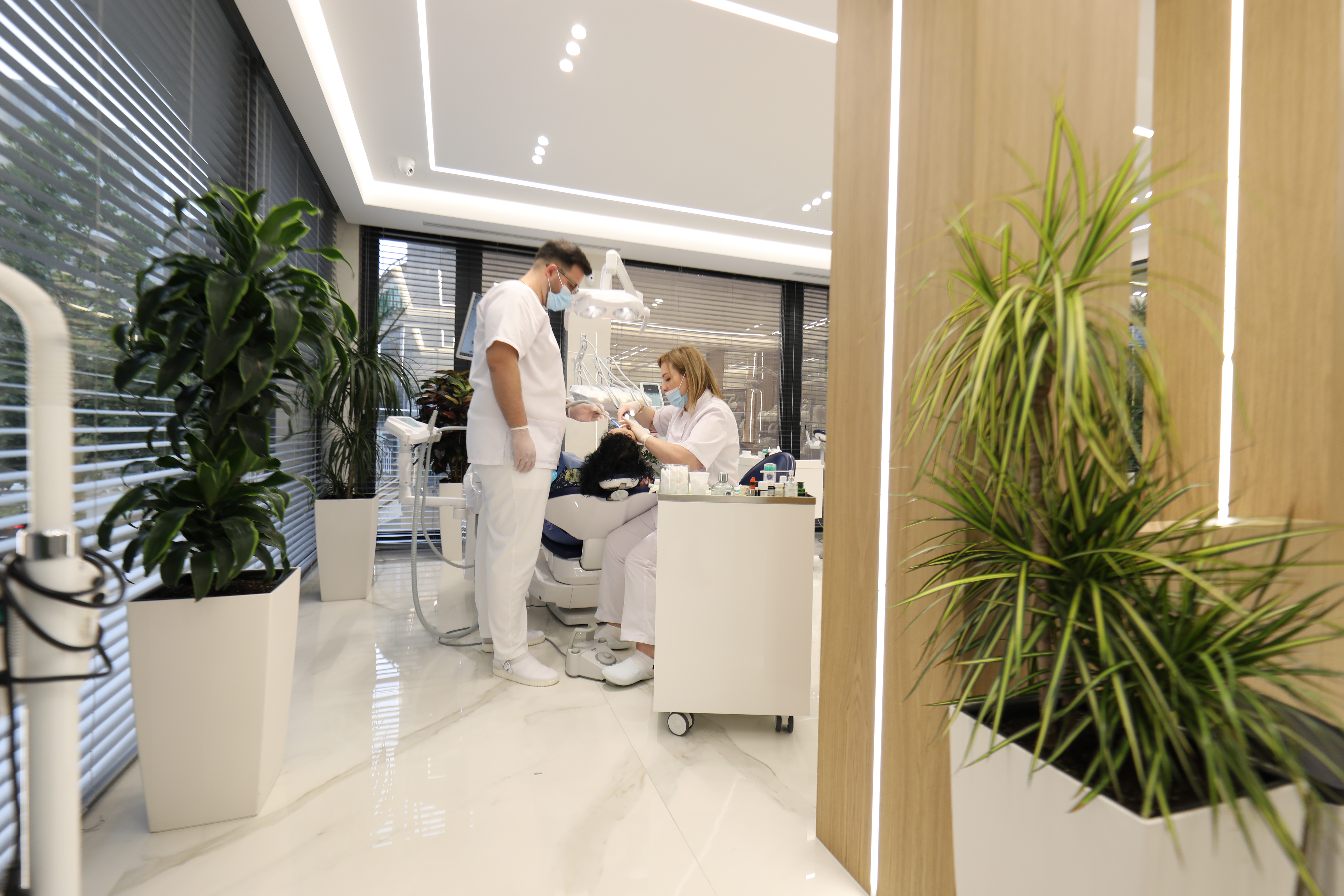 Dental Treatment 2